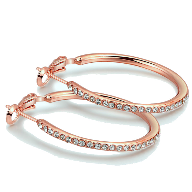 C3036 Fashion Earrings