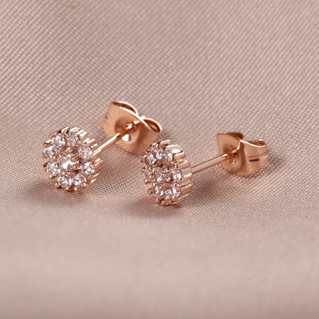 C2869 Fashion Earrings