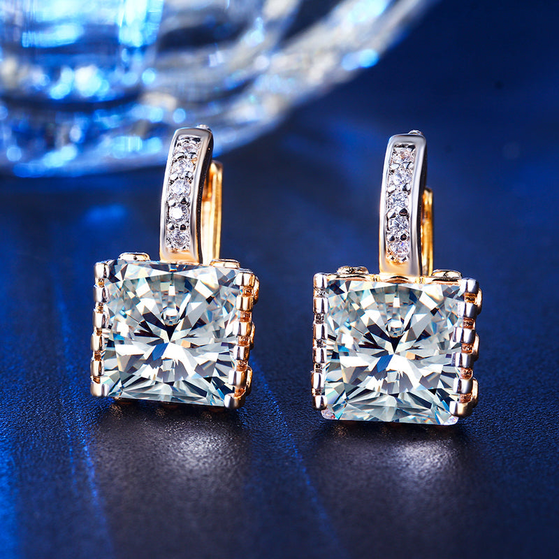 C3483 Fashion Earrings