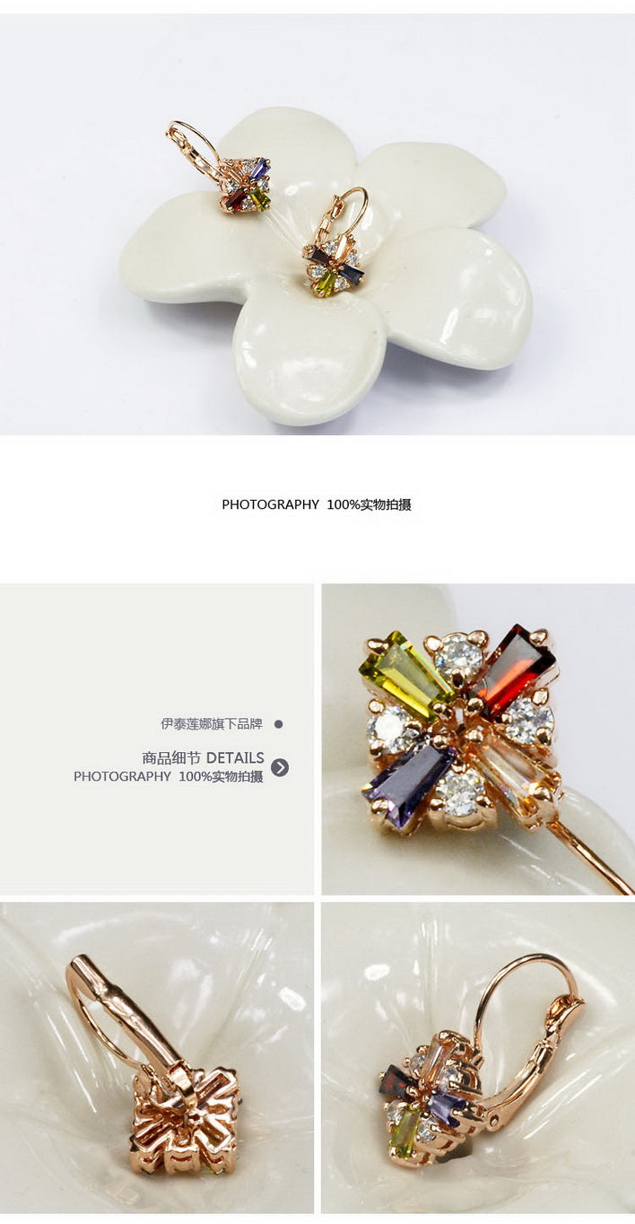 C43 Fashion Earrings