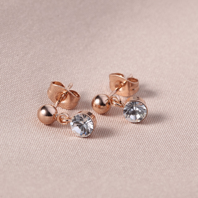C5956 Fashion Earrings