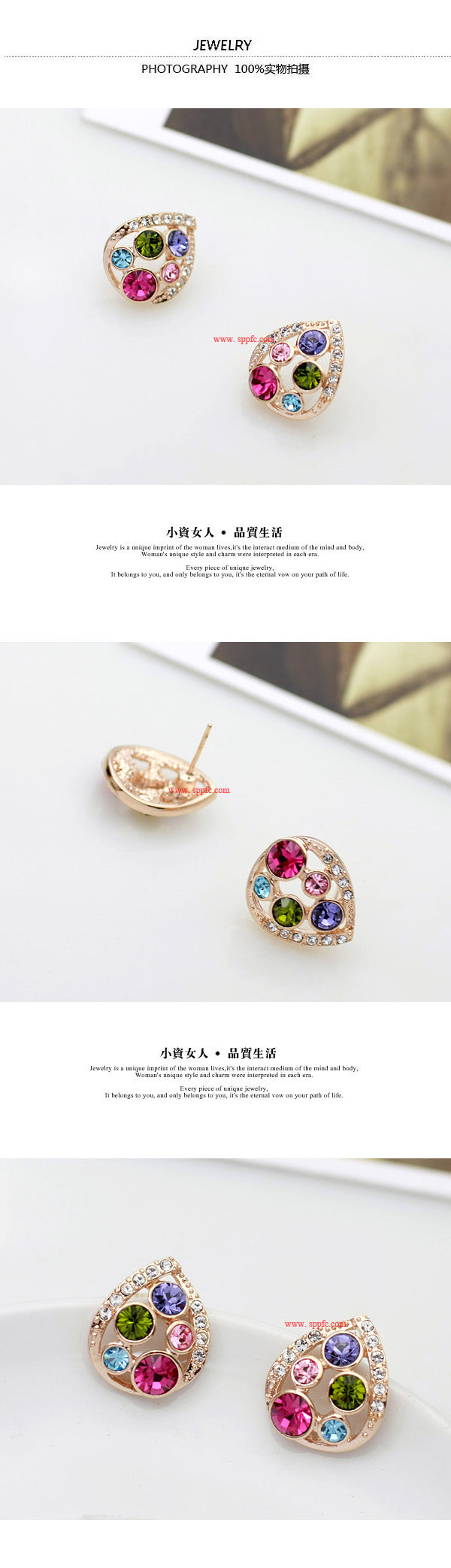 C443 Fashion Earrings