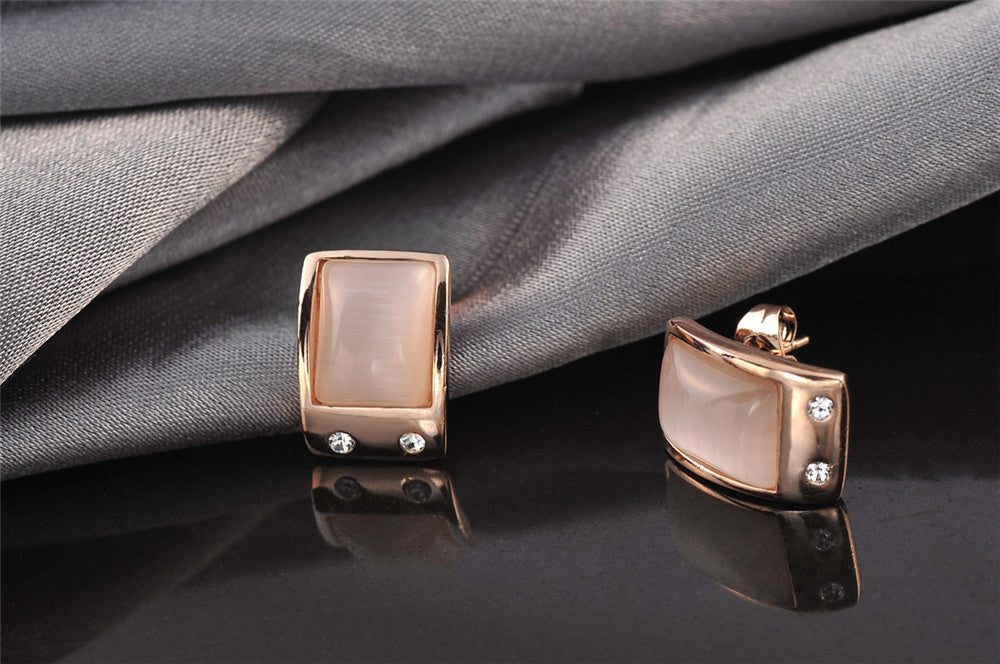 C4822 Fashion Earrings