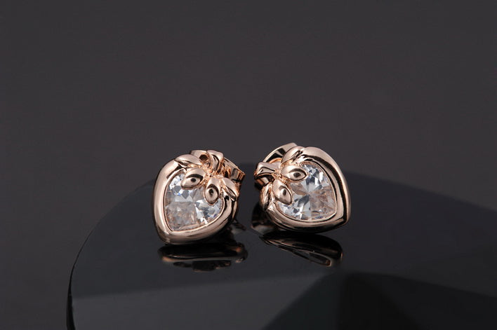 C403 Fashion Earrings