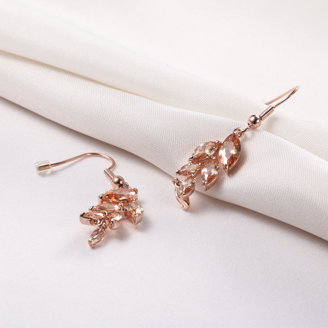 C145 Fashion Earrings