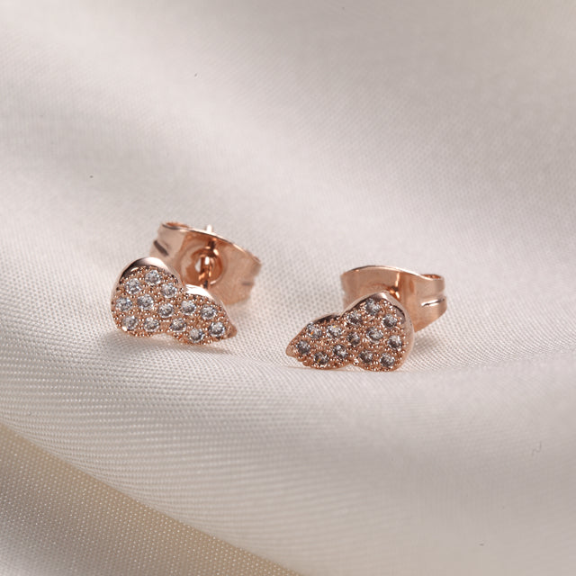 C358 Fashion Earrings