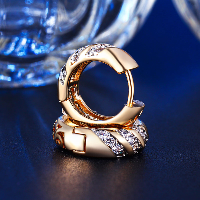 C4404 Fashion Earrings