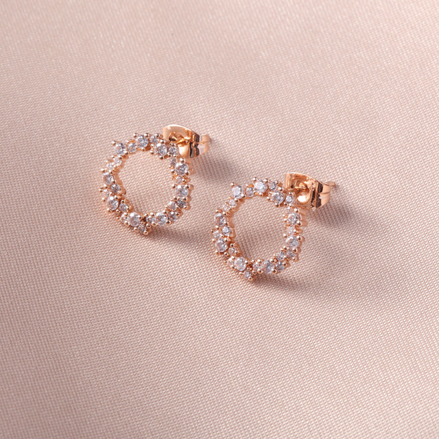 C235 Fashion Earrings