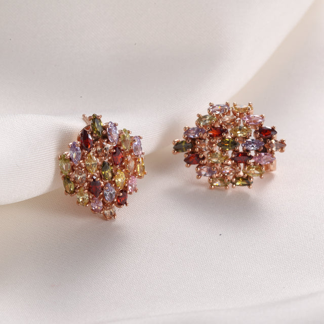 C5950 Fashion Earrings