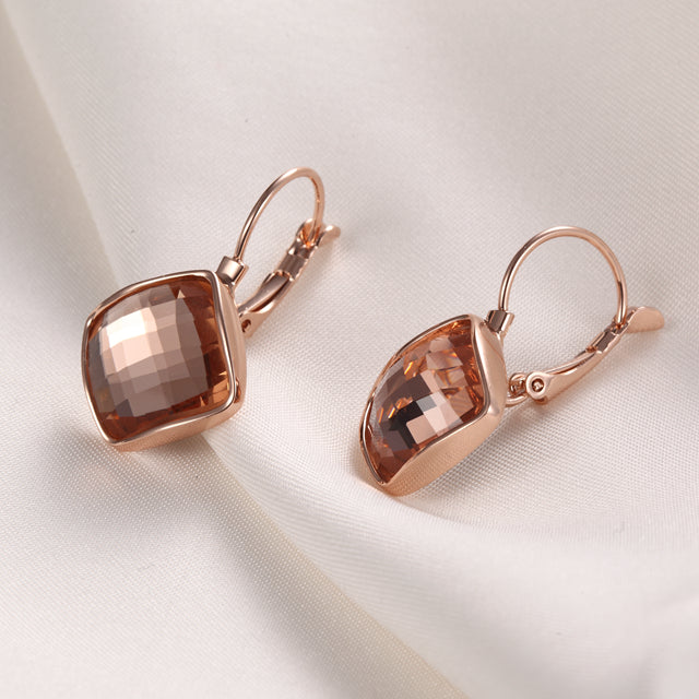 C5909 Fashion Earrings