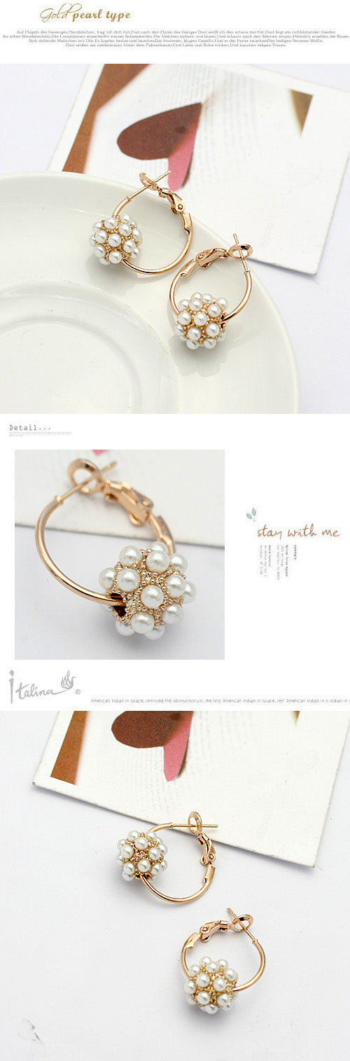 C433 Fashion Earrings