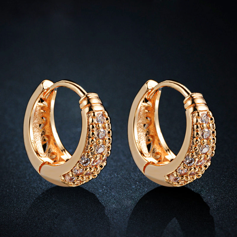 C1327 Fashion Earrings