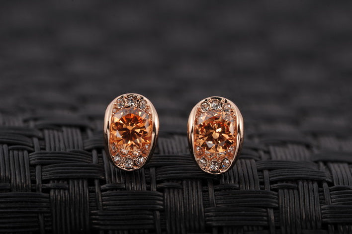C421 Fashion Earrings
