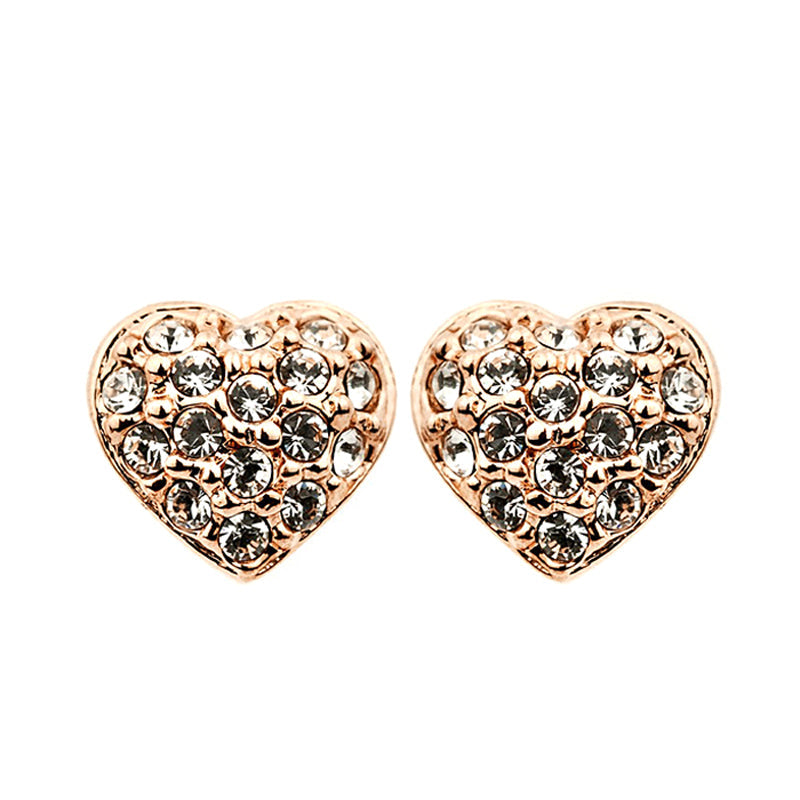 C4232 Fashion Earrings