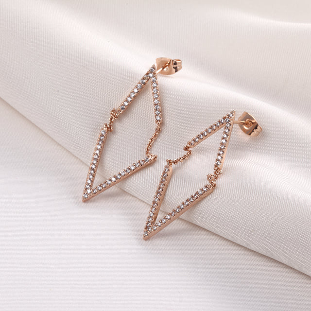 C310 Fashion Earrings