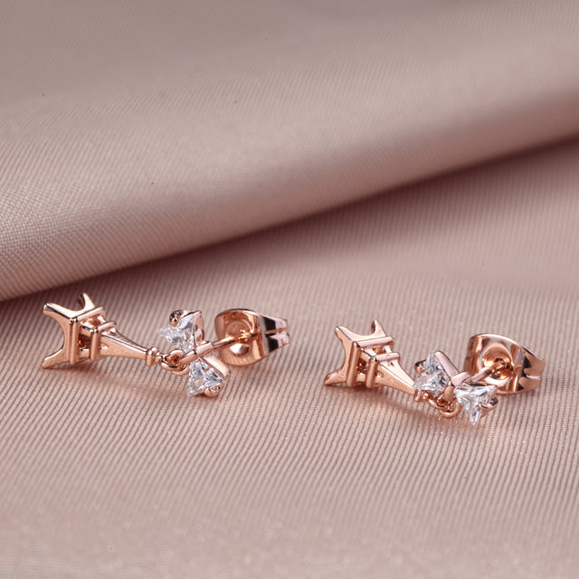 C109 Fashion Earrings