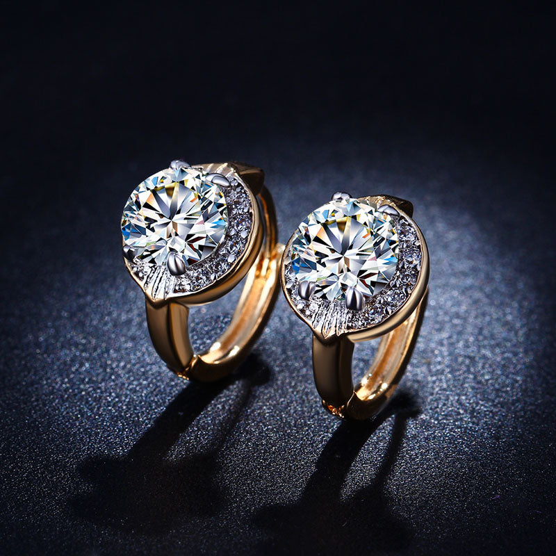 C2506 Fashion Earrings