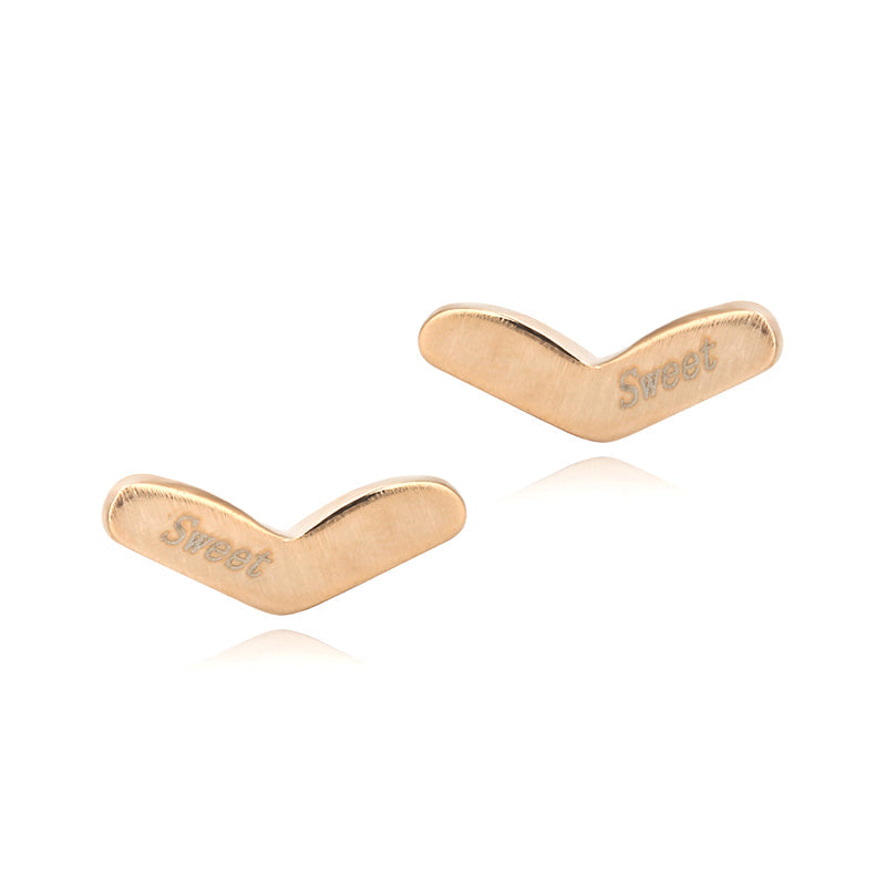 C2101 Fashion Earrings