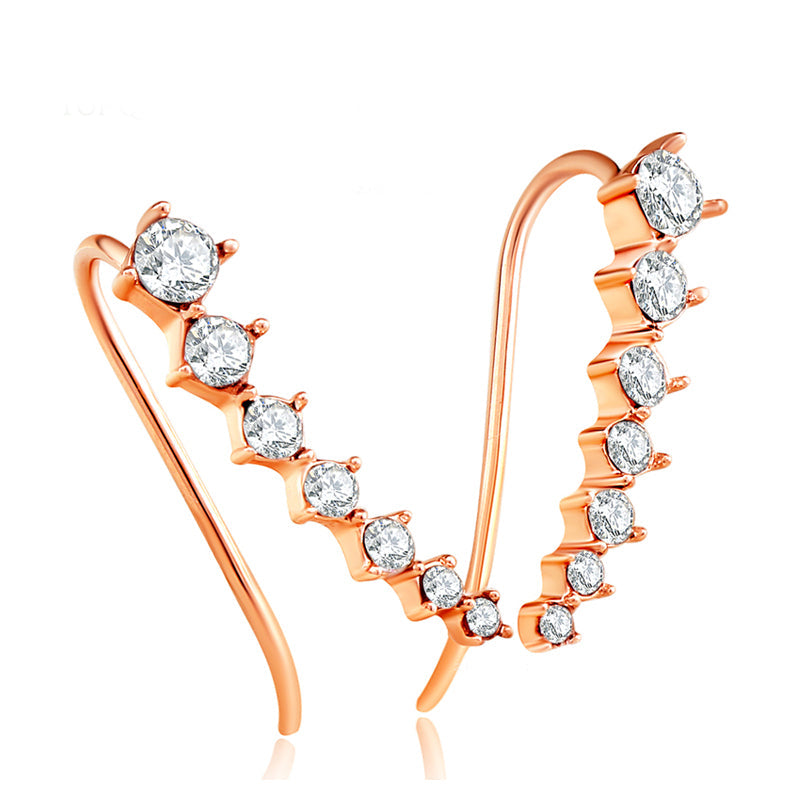 C5077 Fashion Earrings