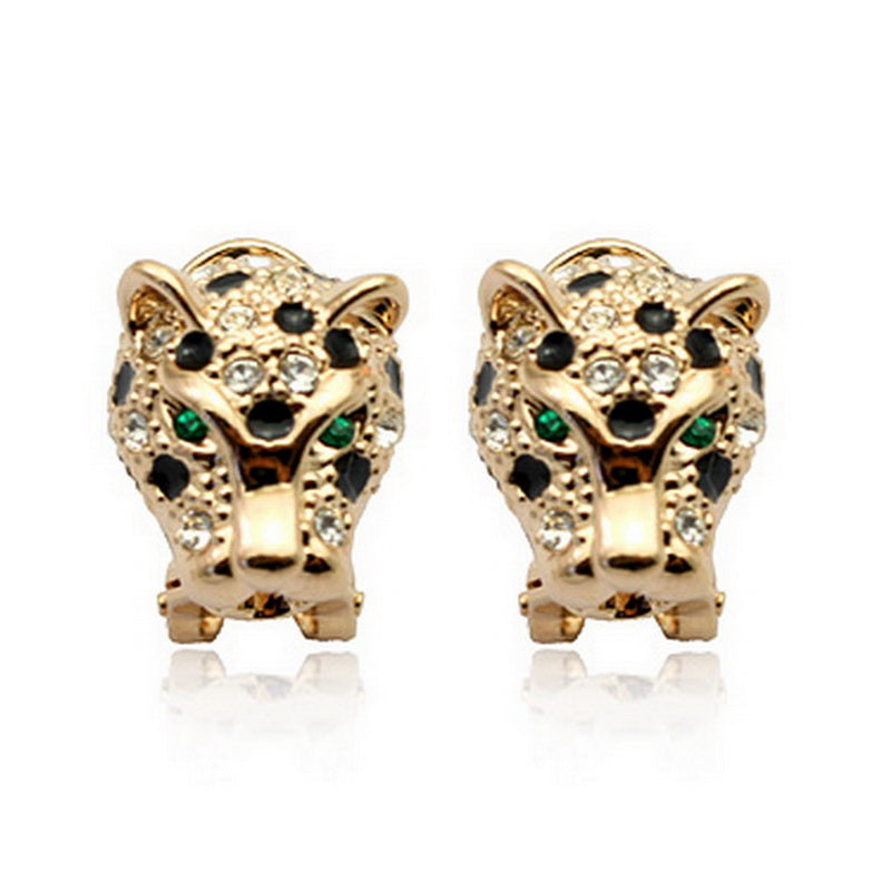 C4211 Fashion Earrings