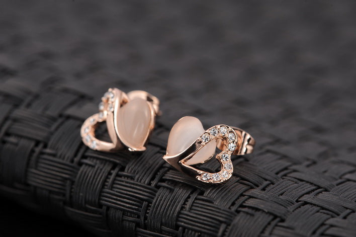 C439 Fashion Earrings