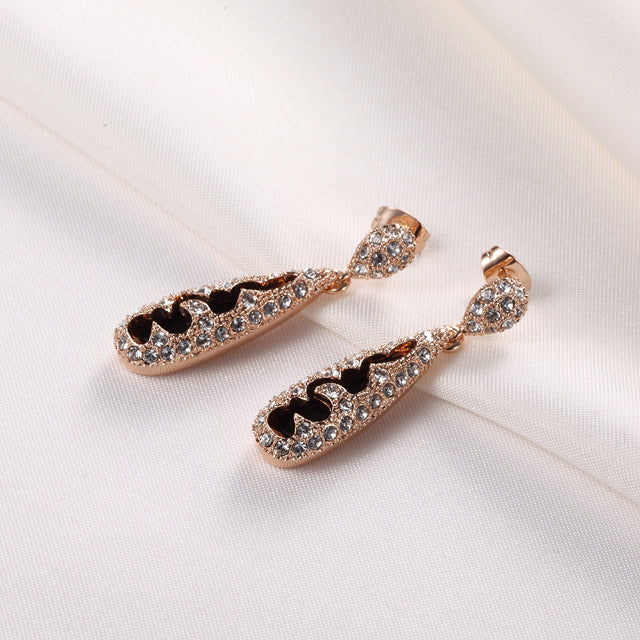 C146 Fashion Earrings