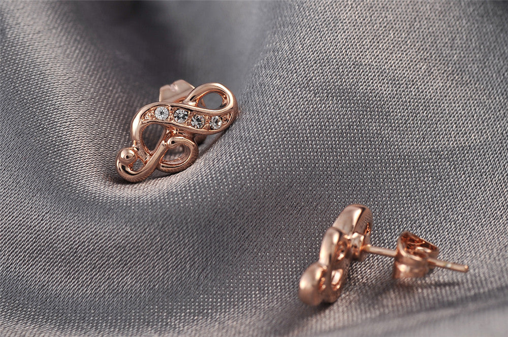 C447 Fashion Earrings