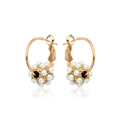 C433 Fashion Earrings