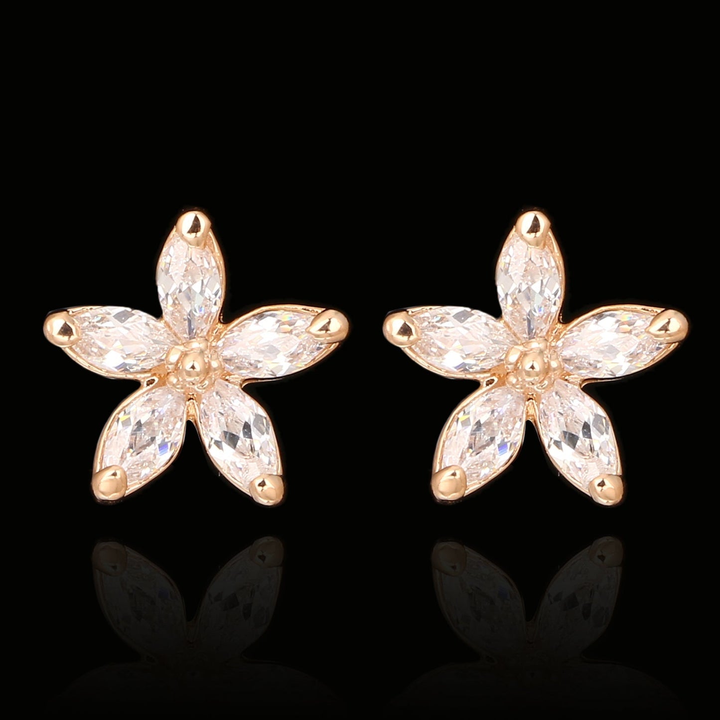 C2483 Fashion Earrings