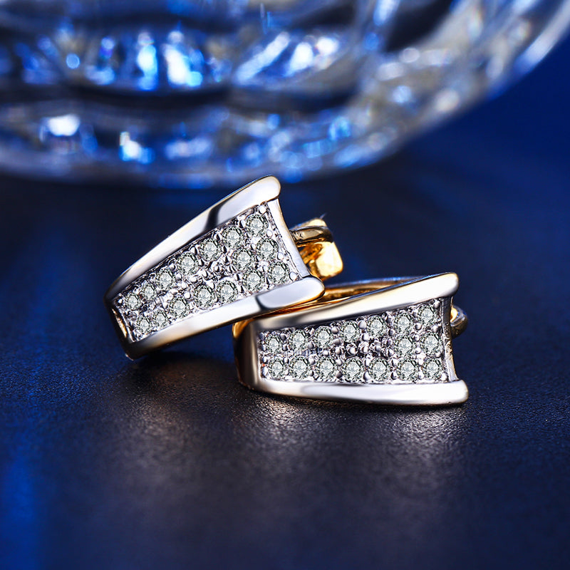 C4592 Fashion Earrings
