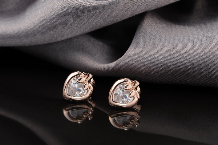 C4708 Fashion Earrings