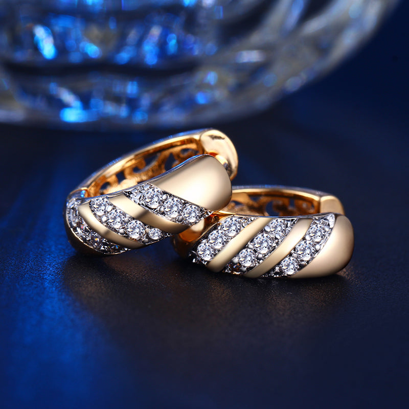 C1404 Fashion Earrings