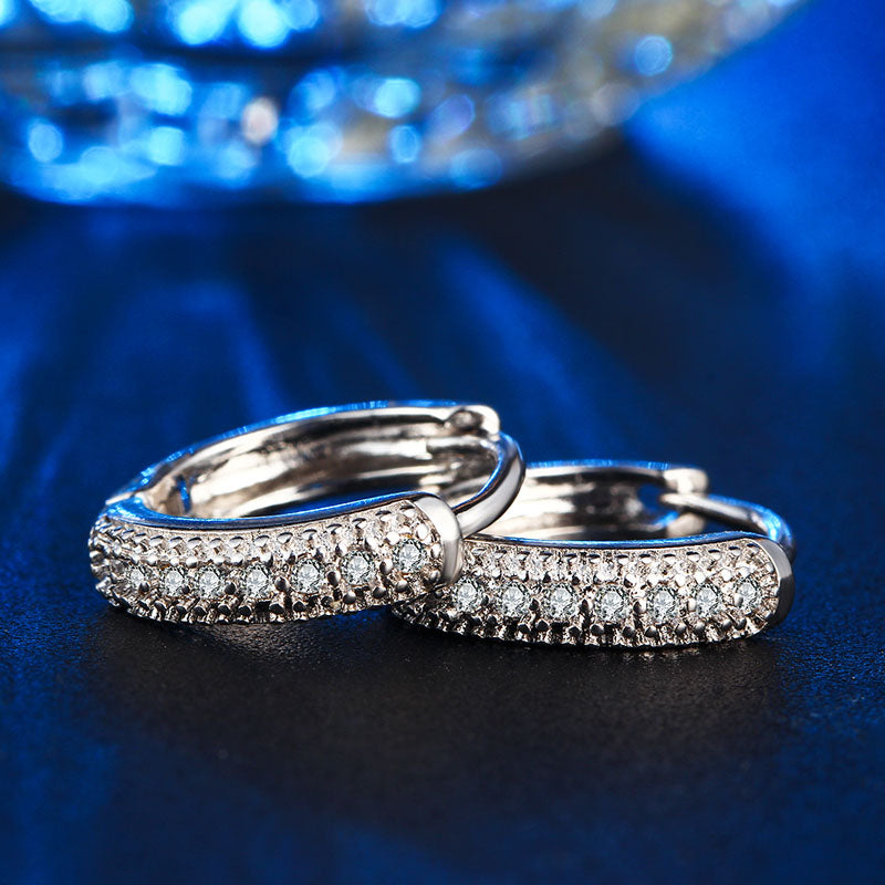 C3487 Fashion Earrings