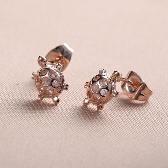 C237 Fashion Earrings