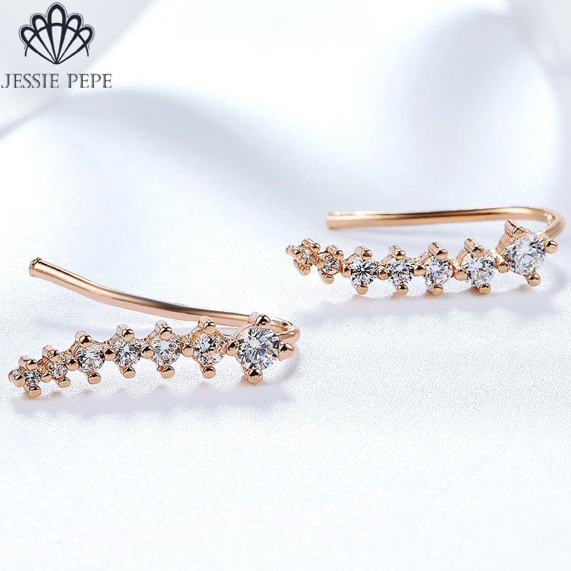C4113 Fashion Earrings