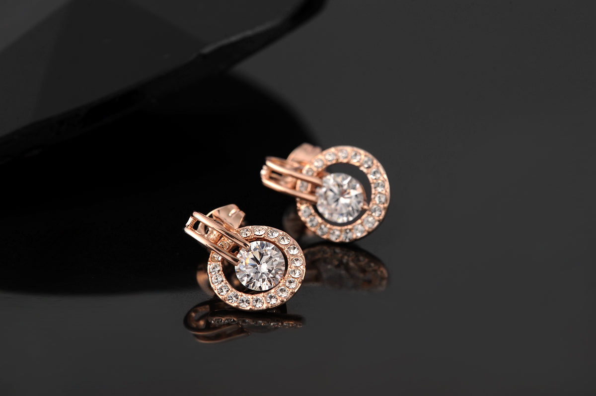 C417 Fashion Earrings