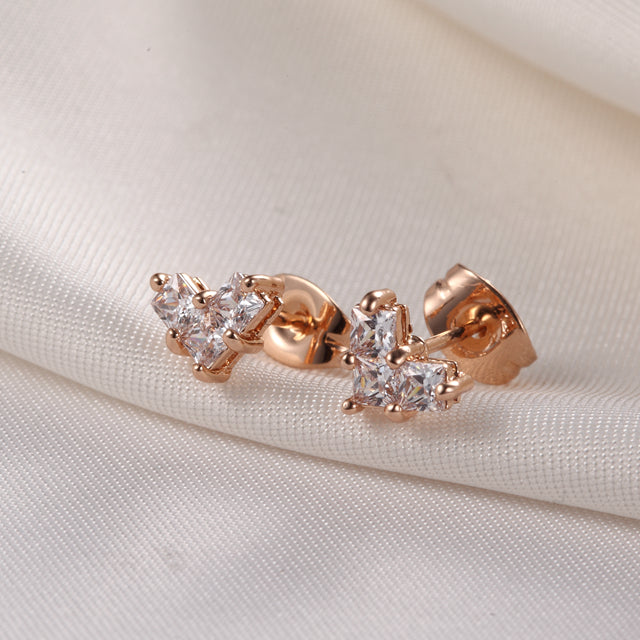 C4527 Fashion Earrings