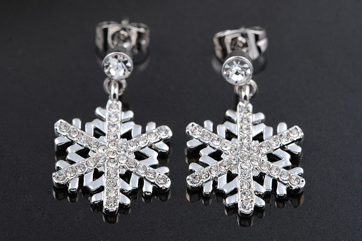C4002 Fashion Earrings