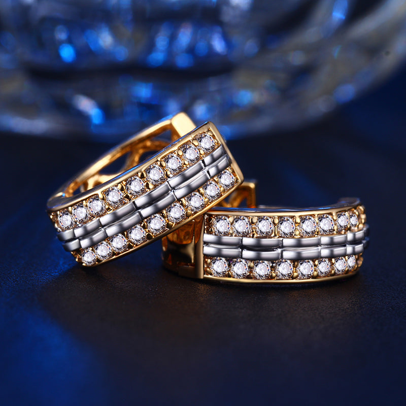 C352 Fashion Earrings