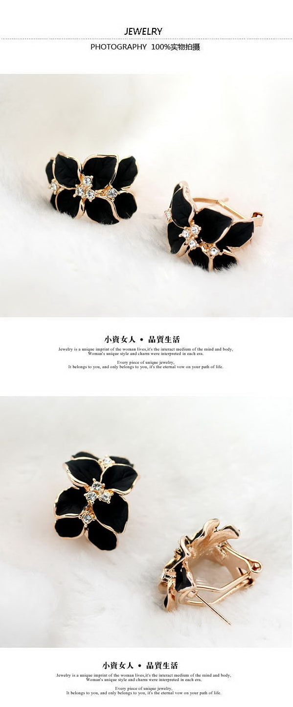 C66-S Fashion Earrings