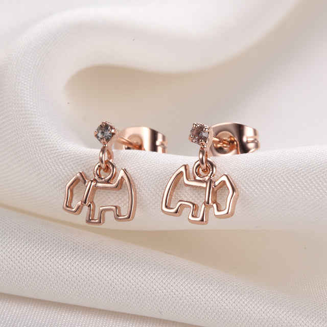 C225 Fashion Earrings