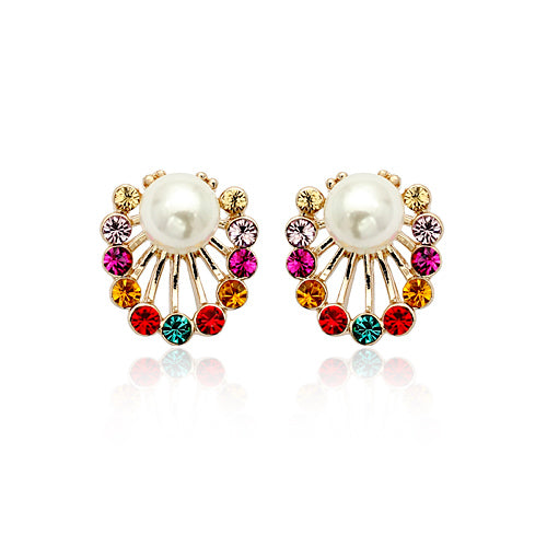 C453   Fashion Earrings