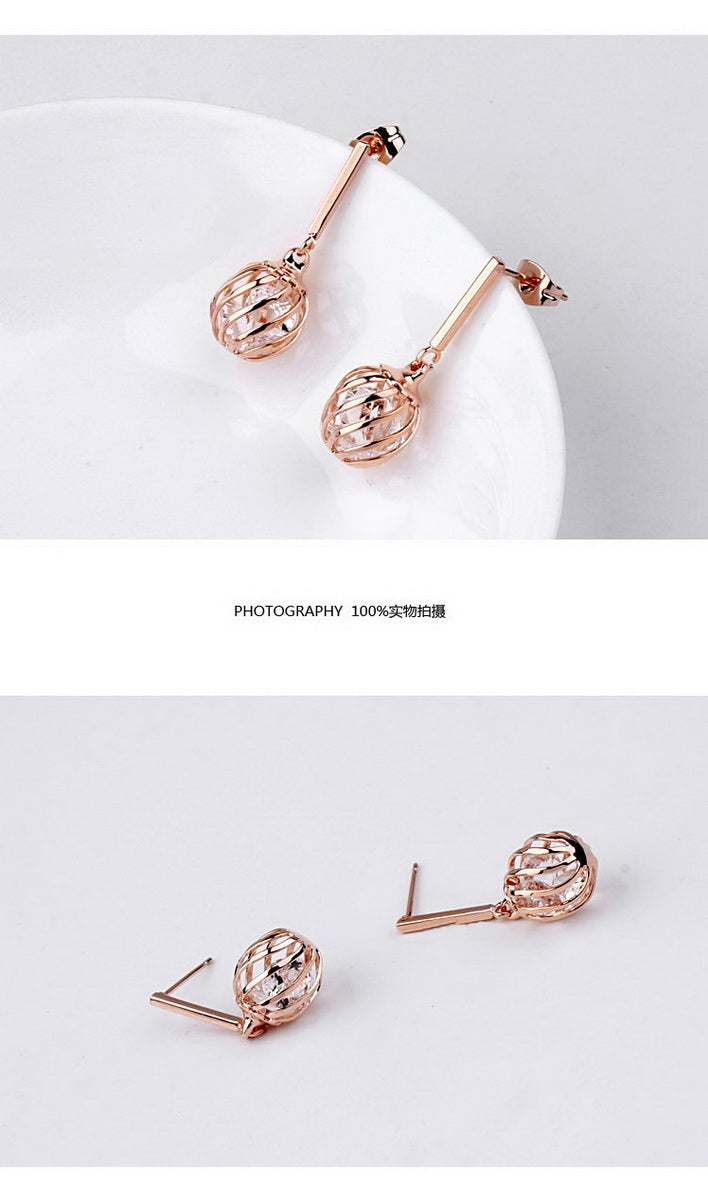 C432 Fashion Earrings