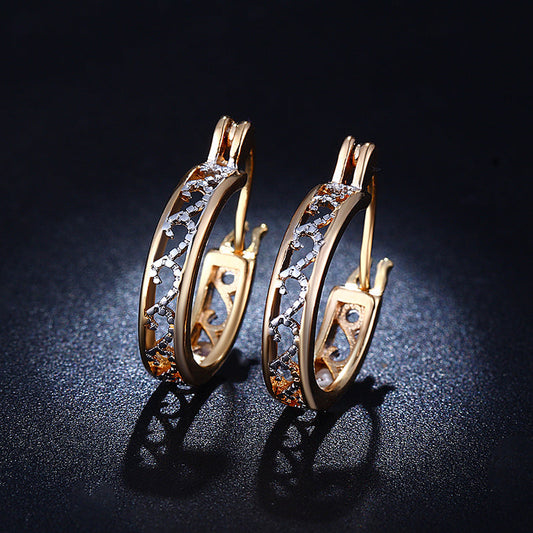 C3373   Fashion Earrings