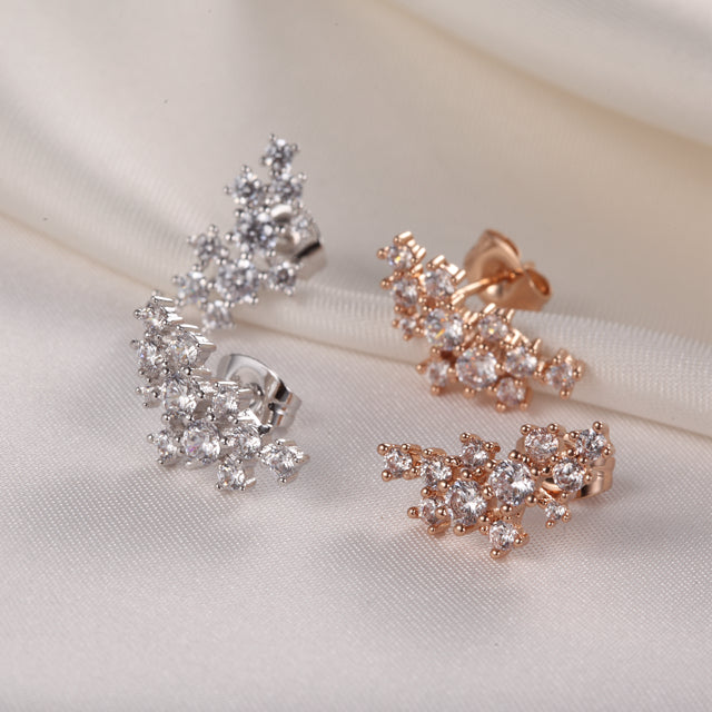 C4961   Fashion Earrings