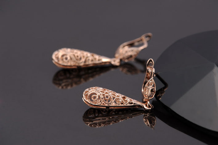 C12   Fashion Earrings