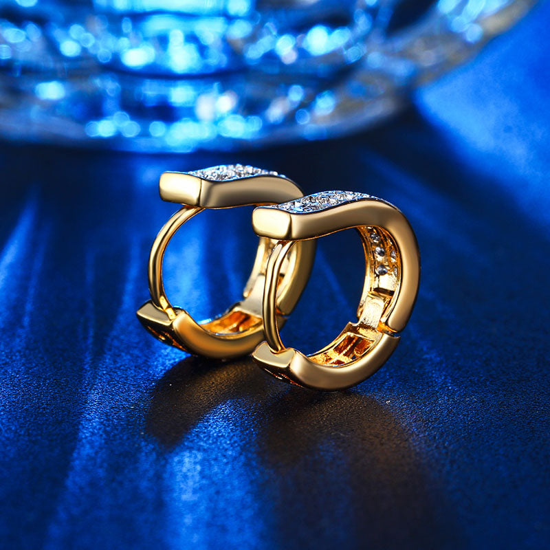 C5074   Fashion Earrings