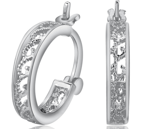 C4393   Fashion Earrings
