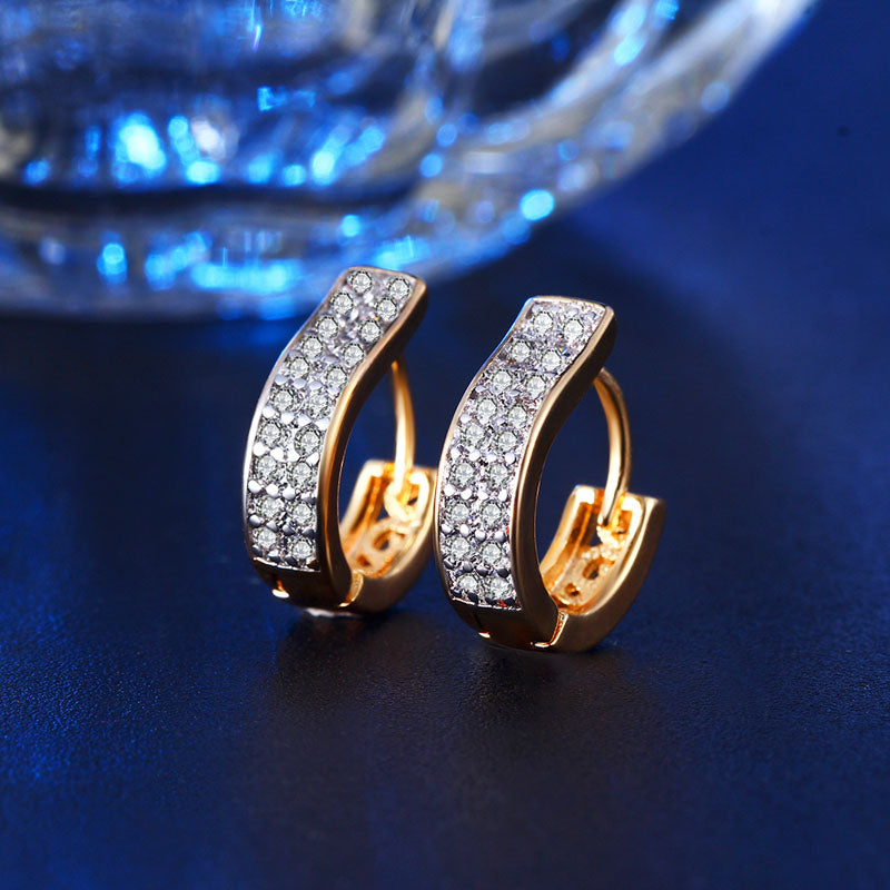 C3735   Fashion Earrings