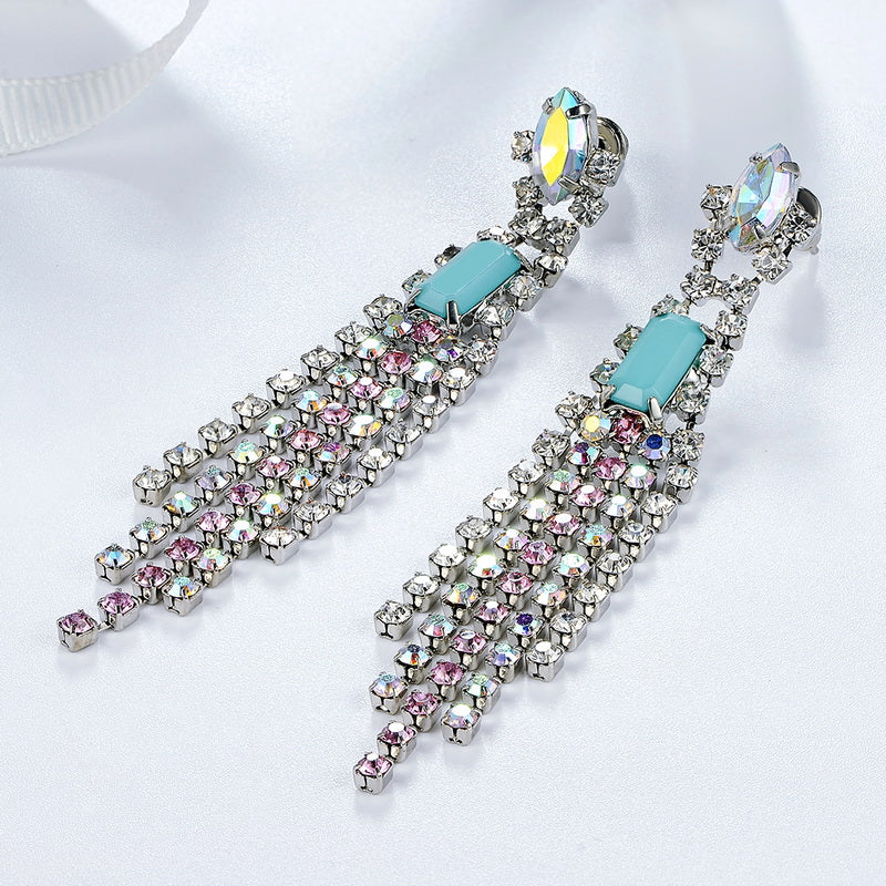 C828   Fashion Earrings